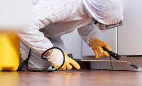 Emergency Pest Control Services in Winchester, VA